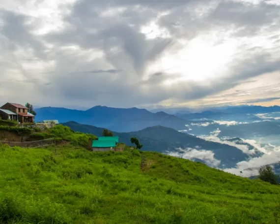 Dawaipani-darjeeling.