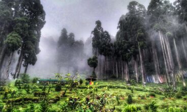 Embracing the Magic of Darjeeling in Monsoon