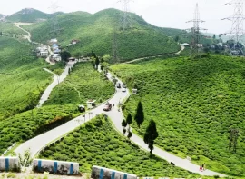 tour report on darjeeling