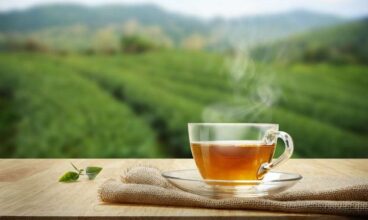 Six Top Tips for Buying Darjeeling Tea