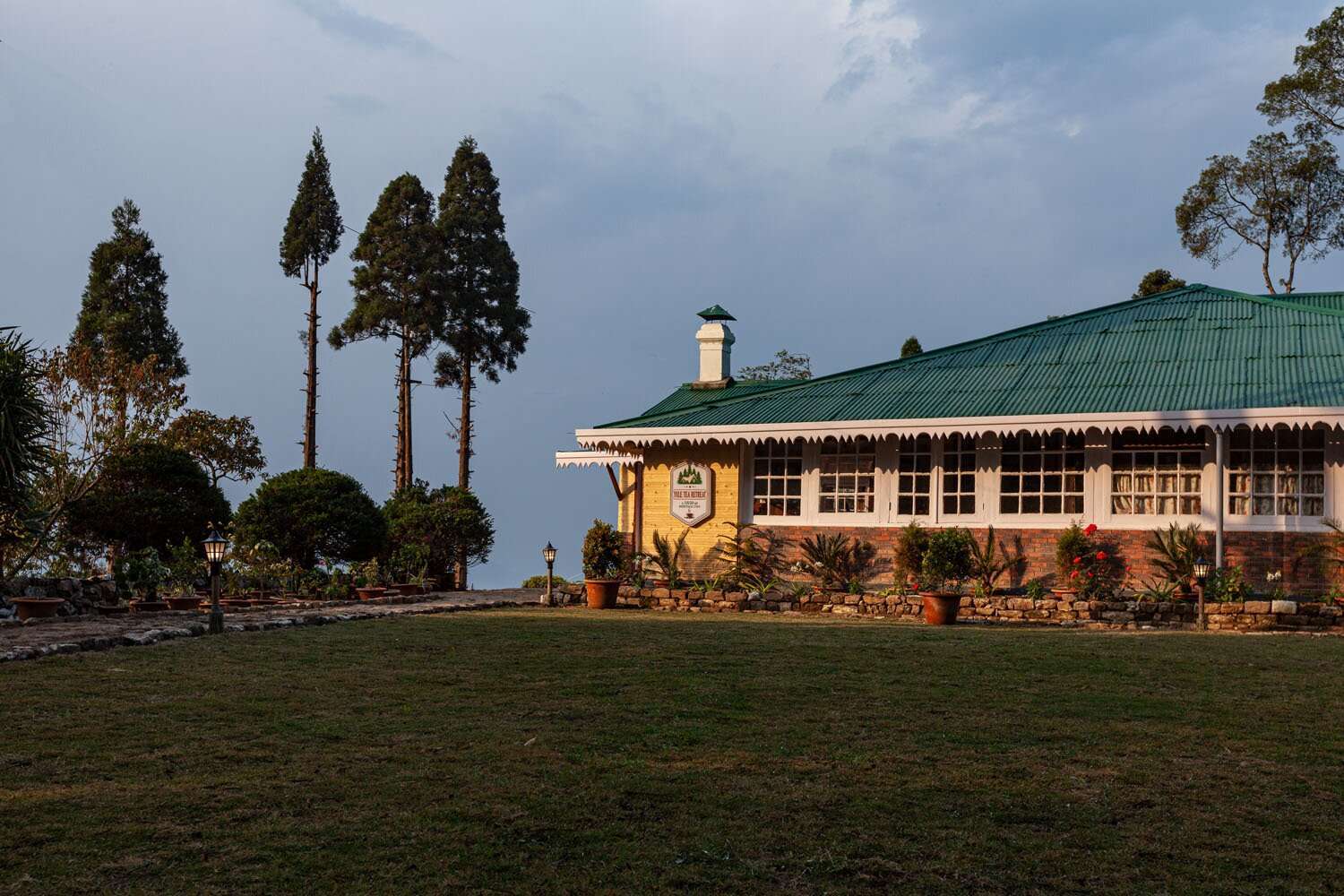 mim tea garden darjeeling