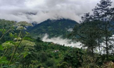 Palmajua: The Tranquil Abode in the Singalila Range